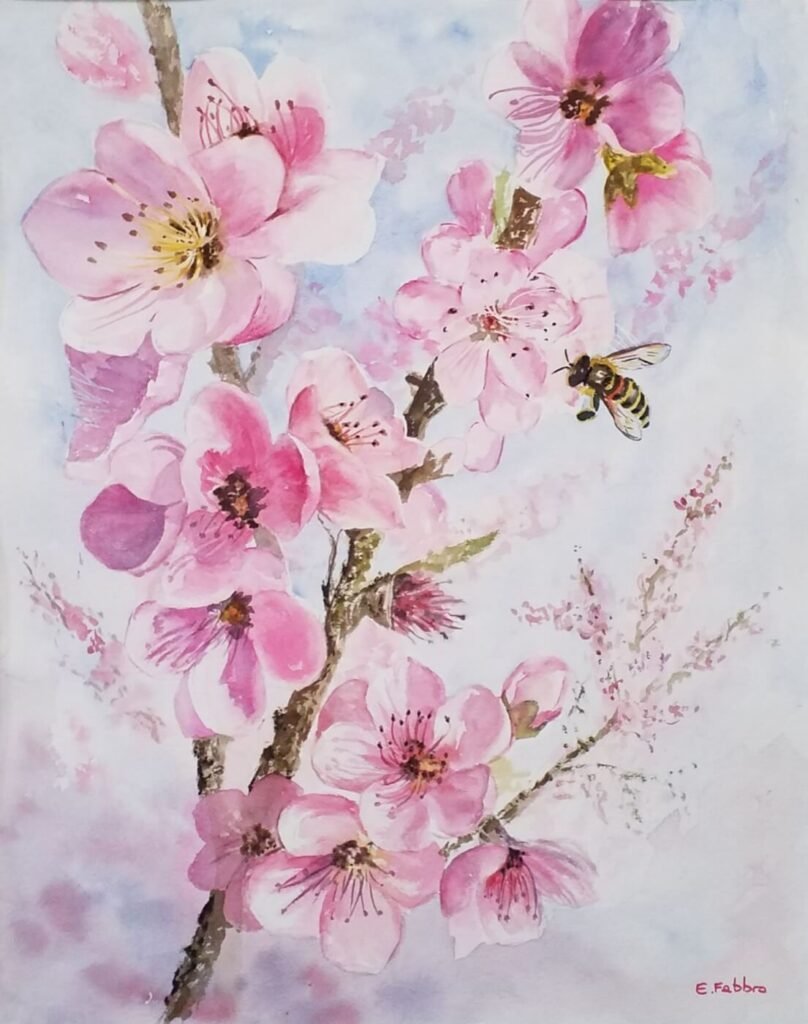 Eveline FABBRO - Fleurs de pêchers 40 x 50 cm