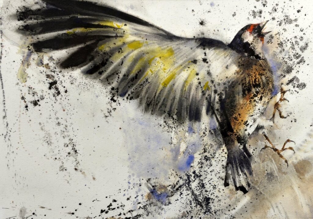 Aquarelle de Franck Rollier