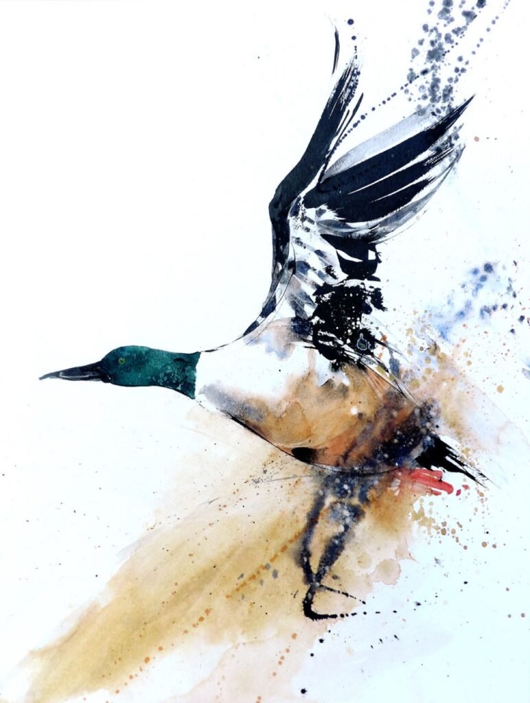 Aquarelle de Franck Rollier
